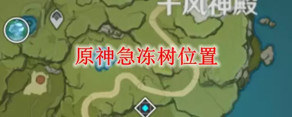 原神永冻树在哪