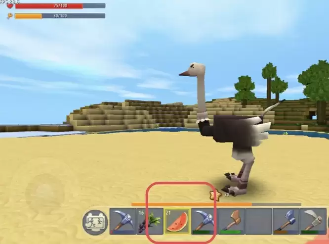 迷你世界鸵鸟喂食演示