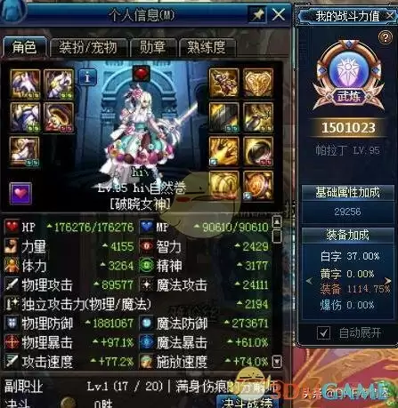 帕拉丁职业展示