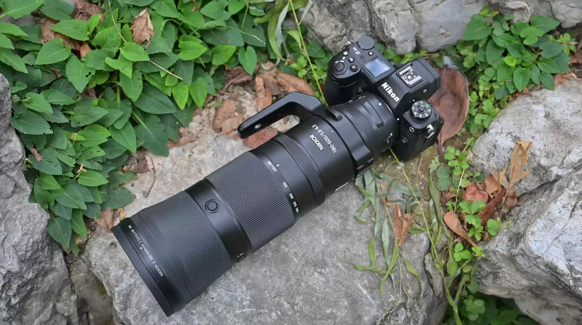 尼康Z6III鸟类追踪对焦演示