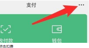 支付详情入口