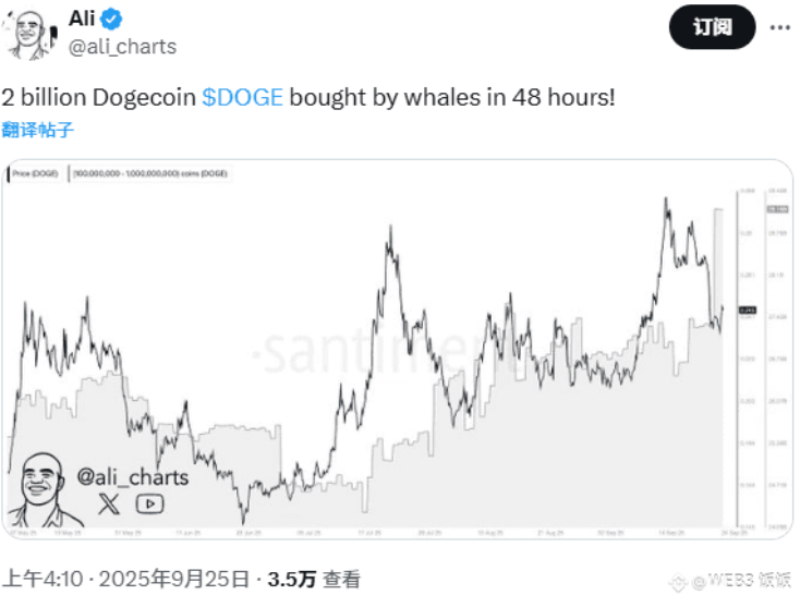 鲸鱼两天狂扫20亿DOGE！狗狗币要暴涨800%还是崩盘见血？ - 菜鸟下载