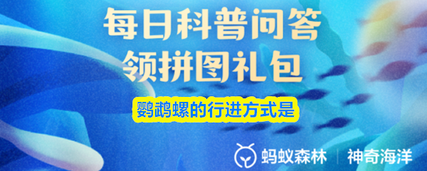 2025支付宝神奇海洋：鹦鹉螺靠喷水推进移动