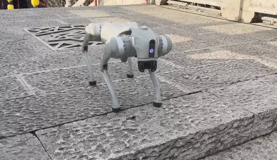 宇树科技产品展示