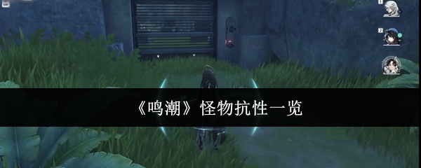 鸣潮怪物抗性解析一览，各类型抗性数据汇总