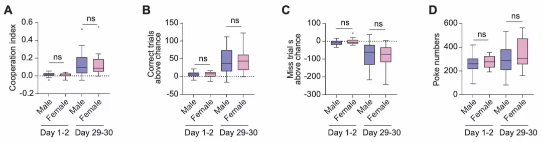 ACC神经活动记录