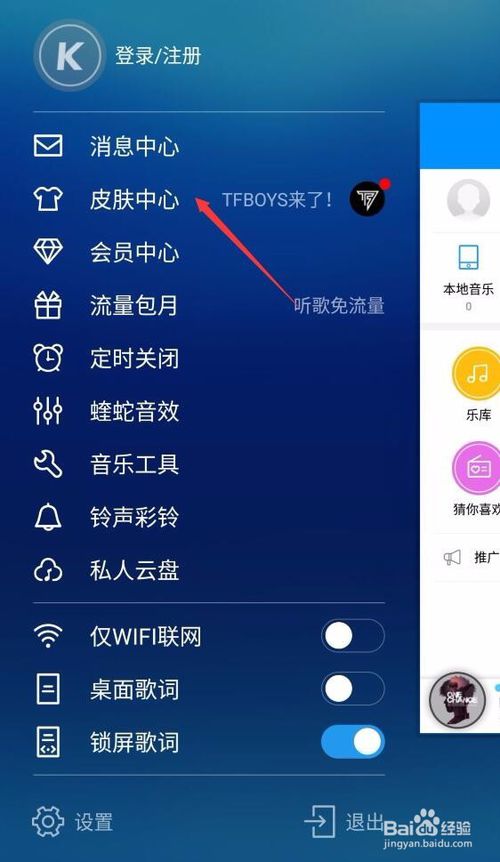 进入皮肤中心