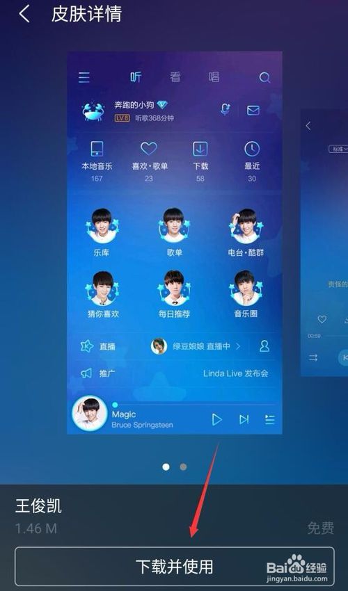 下载皮肤