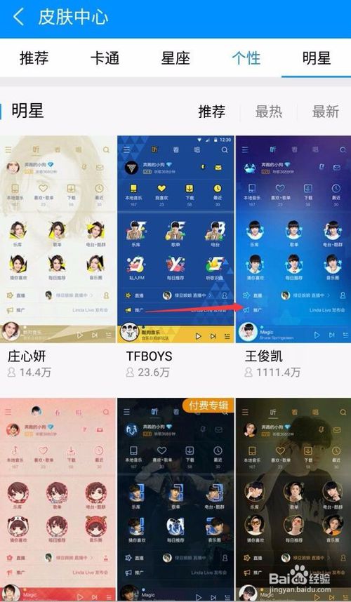 选择具体皮肤