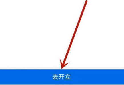 开立交易明细清单