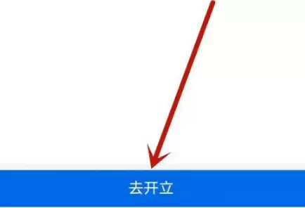 开立交易明细清单