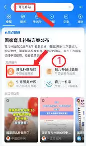 在线申报界面示意图