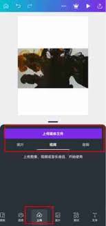 Canva音乐素材库