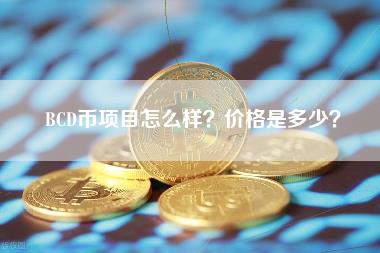 BCD币项目怎么样？价格是多少？-第1张图片-本站