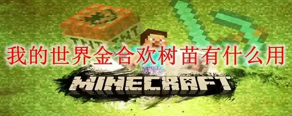 金合欢树苗种植示意图