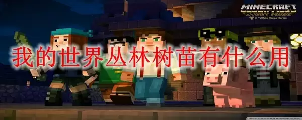 我的世界丛林树苗种植示意