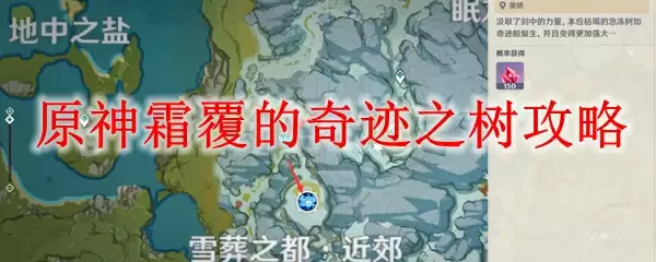原神霜覆的奇迹之树攻略