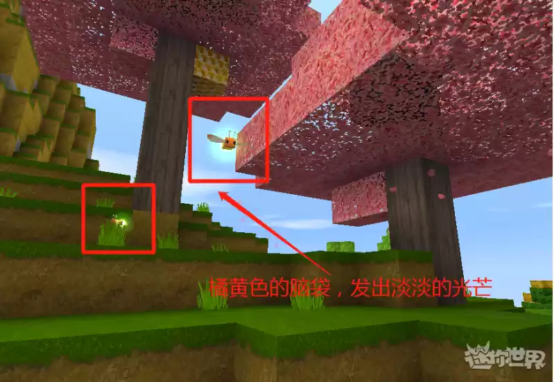 迷你世界如何捕捉萤火虫