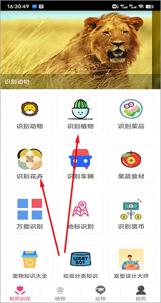 拍照识花神器app识别植物方法