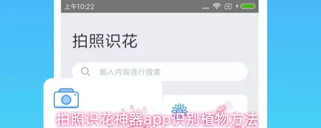 拍照识花神器app识别植物方法