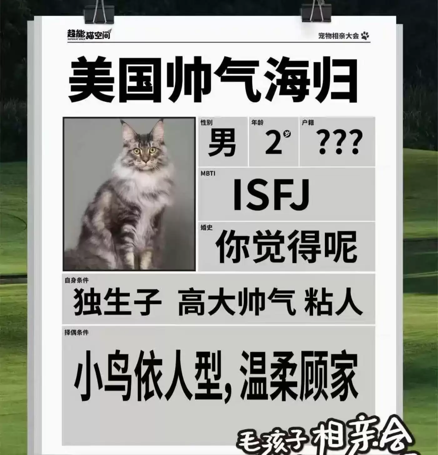 宠物征婚启事