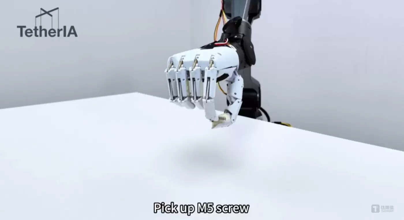 精密抓取能力展示