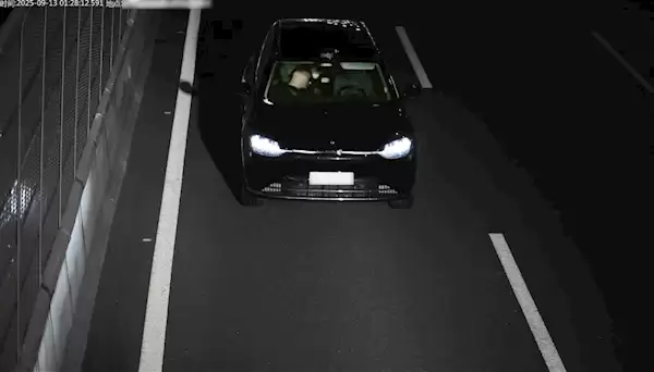 醉酒男子用“智驾神器”开车后睡觉