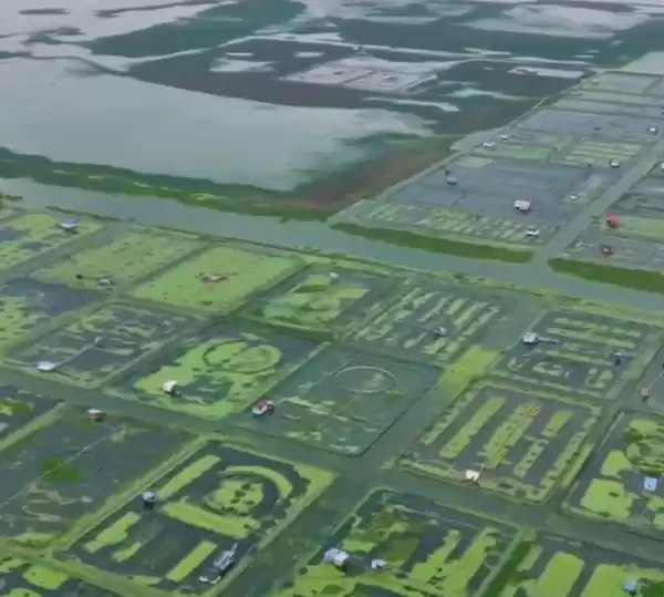 阳澄湖大闸蟹今日正式开捕