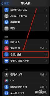 iPhone 14 Pro闪光灯设置界面