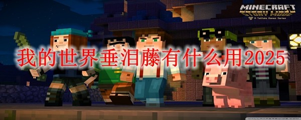 垂泪藤外观示意图