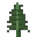 不同类型的高蕨