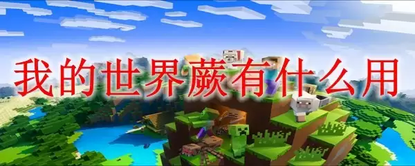 蕨植物生长环境