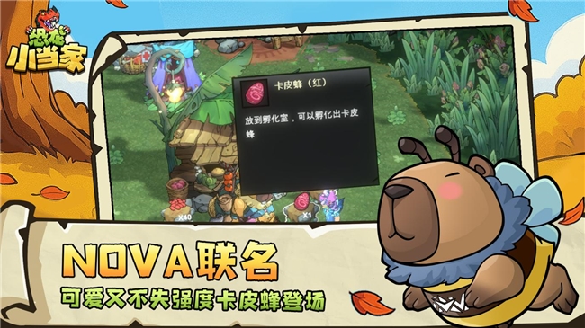 卡皮蜂宠物展示