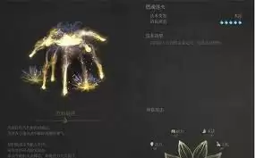 玄阳子技能展示