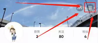 抖音隐私设置界面示意图