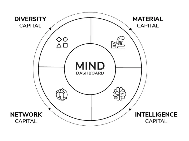 MIND框架示意图