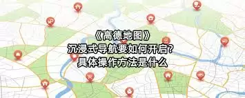 高德地图沉浸导航