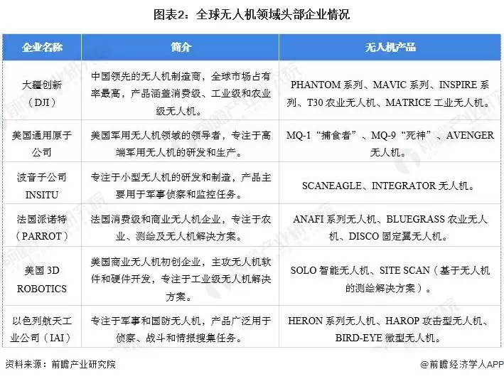 图表2：全球无人机领域头部企业情况