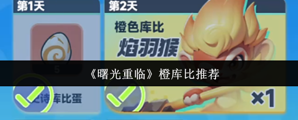 橙色库比展示