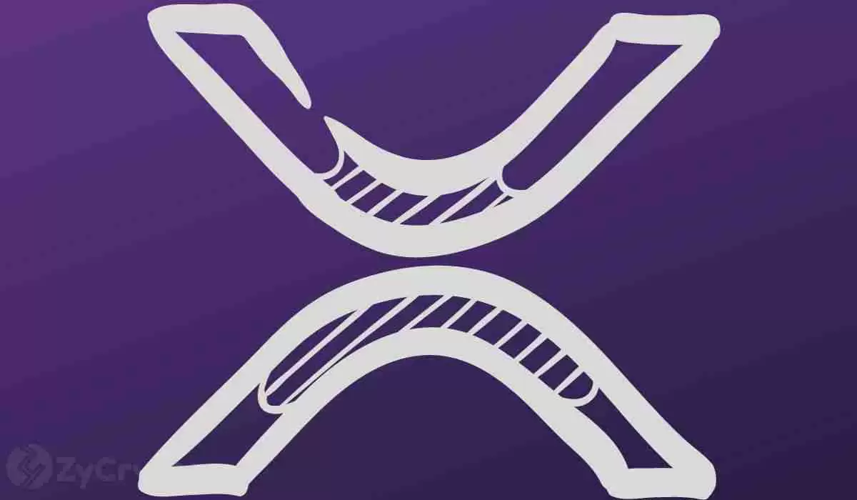 Ripple首席执行官Brad