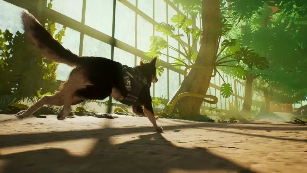 《Barkour》10月2日发布免费试玩