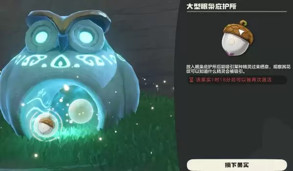 壳乙螺骑乘效果