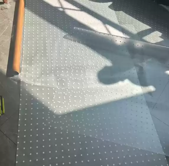 玻璃幕墙成候鸟迁徙隐形杀手