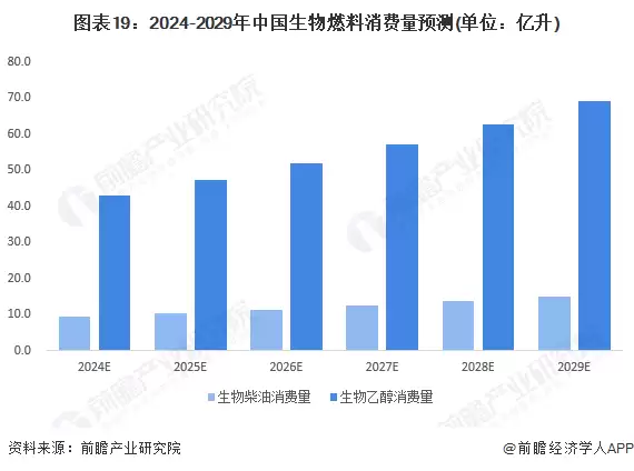 图表19：2024-2029年中国生物燃料消费量预测(单位：亿升)