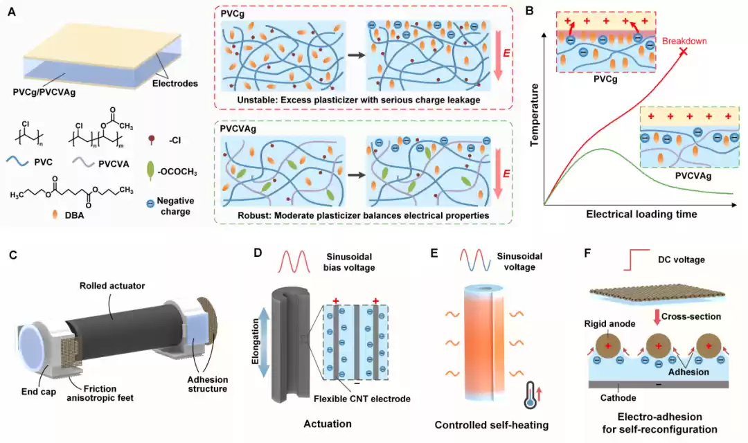 新型材料设计原理与多功能软体机器人示意图
