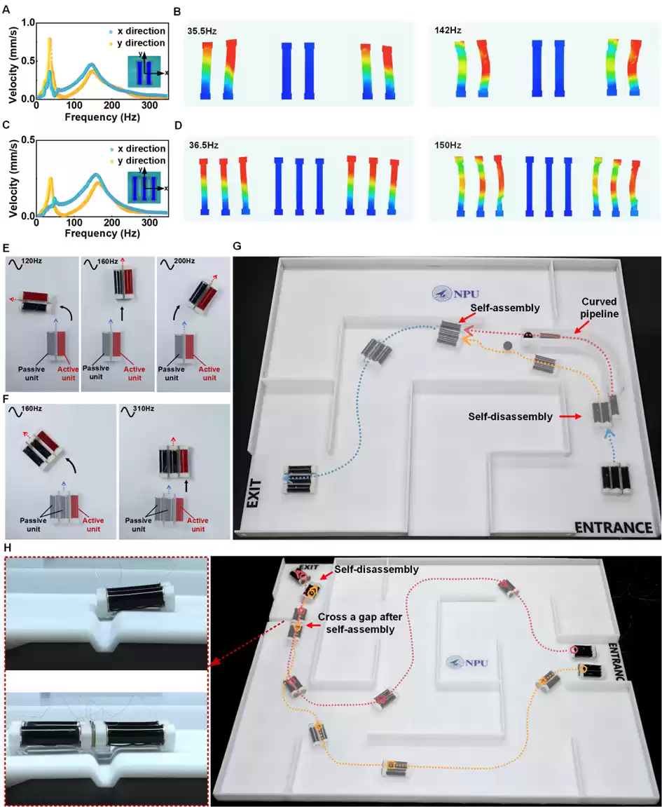 集群机器人动态展示