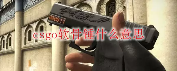 csgo软骨锤什么意思