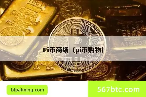 Pi币商场（pi币购物）