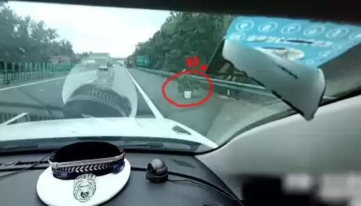 高速公路废弃杂草警示