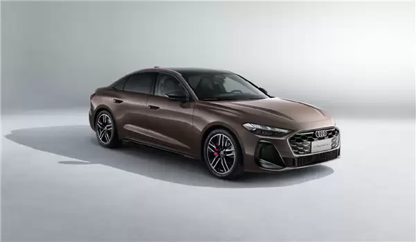 奥迪Q6L e-tron展示图